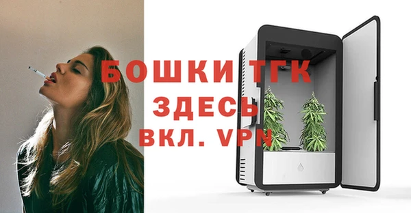 СК Алексин