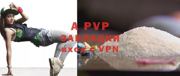 СК Алексин