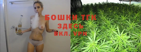 тгк Алексеевка