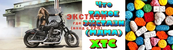 СК Алексин
