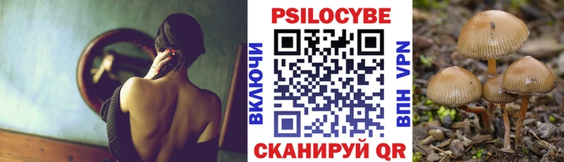 Галлюциногенные грибы Psilocybe  Нижний Ломов 